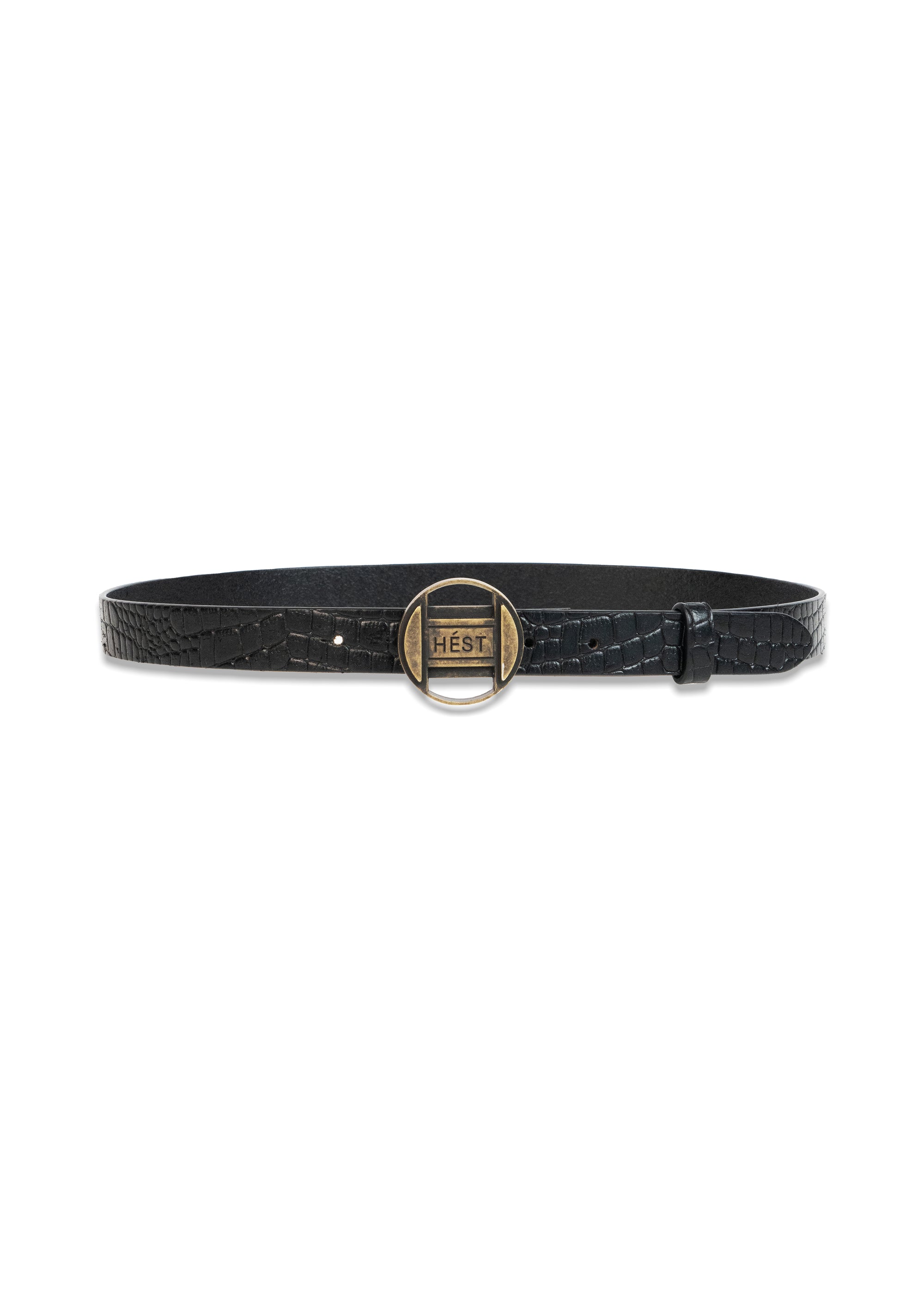 EXPLORE Belt