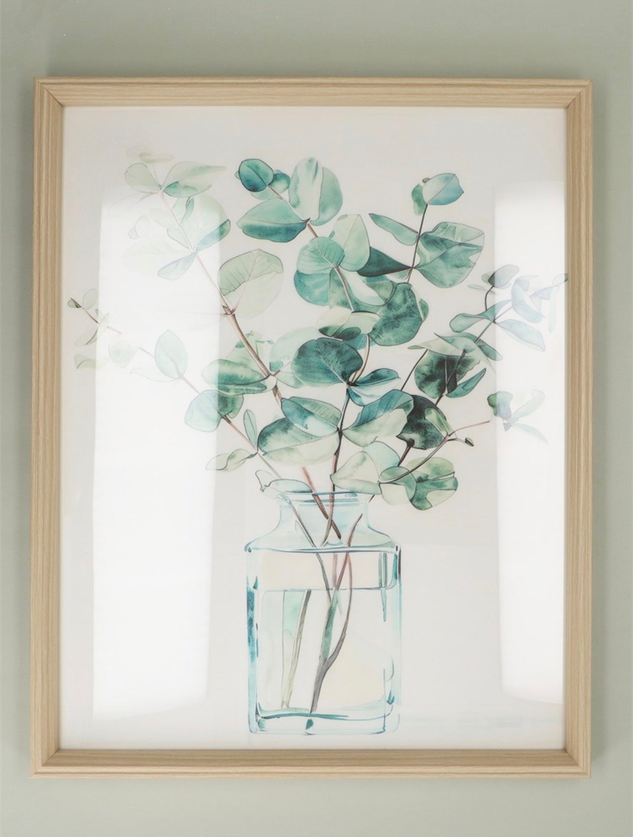 Eucalyptus Picture